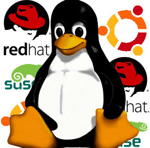 Wie kann der Raspberry Pi auf die neue Debian Version Jessie upgedated werden?